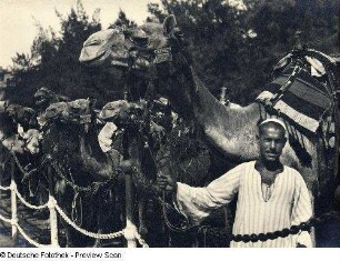 Schiffsreise Ägypten - Palästina - Syrien 1934. Kameltreiber von Kairo