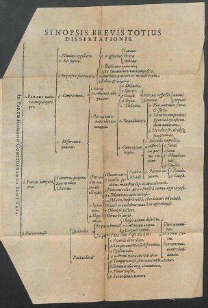 Synopsis brevis totius dissertationis.