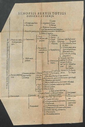 Synopsis brevis totius dissertationis.