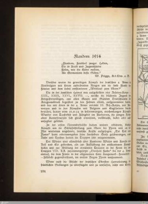 Flandern 1914