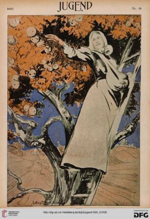 Nr. 38 (??. September 1900)