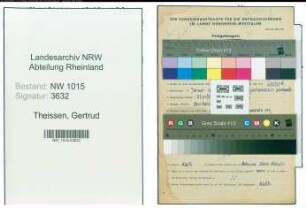 Entnazifizierung Gertrud Theissen , geb. 01.01.1894 ()