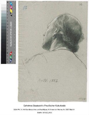 Studie