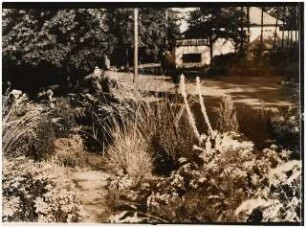 Garten von Bauer, Rhode: Pflanzung