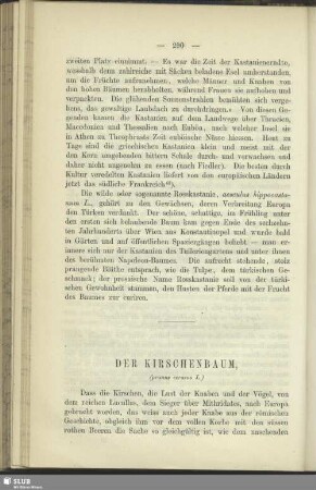 Der Kirschenbaum