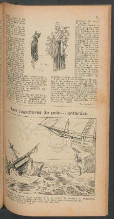 Los jugadores de polo ... antártico - [Caricatura]