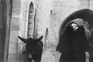 Reisefotos Orient. Jerusalem. Gasse mit verschleierten Frauen und Esel