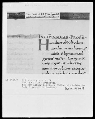 Bibliorum sacrorum pars, libri prophetarum — Initiale H(aec dicit dominus), Folio 239recto