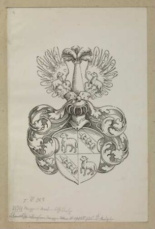 Das Wappen der Löffelholz von Kolberg