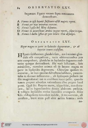 Observatio LXV