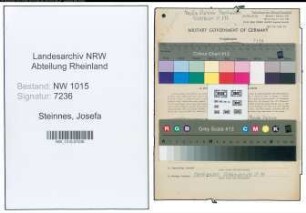 Entnazifizierung Josefa Steinnes , geb. 18.04.1911 (Kaufmann)