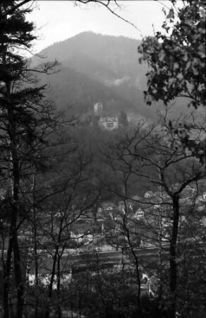 Hornberg: Burg Hornberg; Durchblick aus dem Wald
