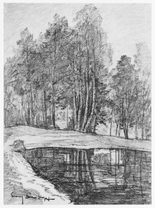 Seenlandschaft mit Birken : Bernkopf, Georg: Seenlandschaft mit Birken. Zeichnung, bezeichnet "Georg Bernkopf"