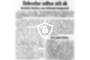 Einbrecher seilten sich ab
