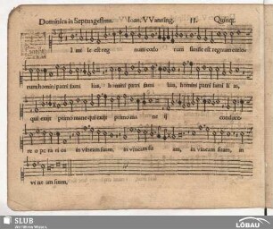 11. Simile est regnum coelorum