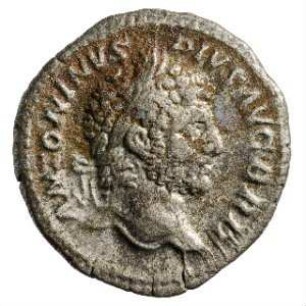 Münze, Denar, 210 - 213 n. Chr.