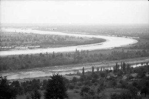 Rheinweiler: Rhein und Rheinseitenkanal