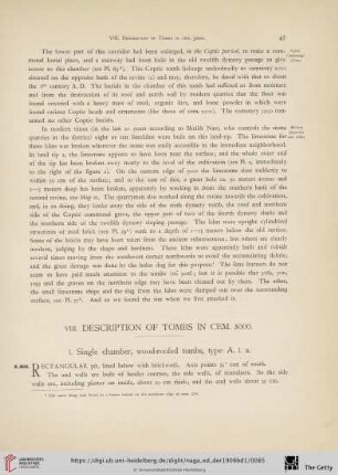 VIII. Description of Tombs in Cem. 3000