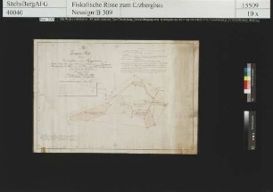 Grubenfelder von Mutter Gottes Vereinigt Feld samt Gott mit uns Fundgrube, Martin Zeche und Hammer Zeche Vereinigt Feld Fundgrube und Friedrich Erbstolln