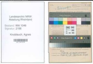 Entnazifizierung Agnes Knoblauch , geb. 11.05.1913 (Hausgehilfin)