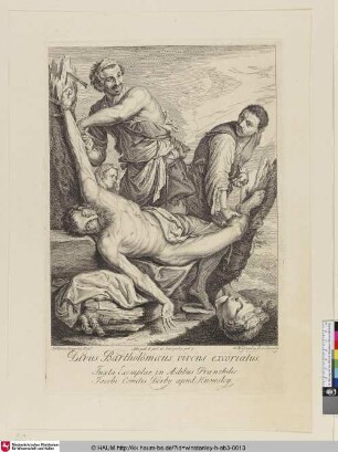 Divus Bartholomaeus vivens excorialus