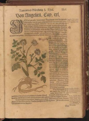 Von Angelica, Cap. CXL