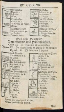Vom Getraid und Hülsenfrüchten