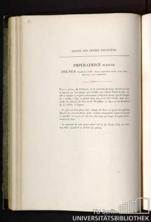 Traité des arbres fruitiers. Impératrice blanche. Prunus translucens : fructu magnitudinis mediae, ovato, flavo-albescente ; carne translucente.
