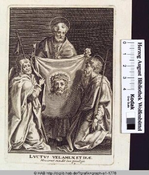 Luctus Velamin et Irae