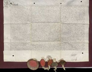 Erzherzog Ferdinand von Österreich leiht vom Domstift Basel 5.000 Gulden, verzinslich mit 250 Gulden, wofür sich die Äbte von St. Peter und Tennenbach verbürgen.