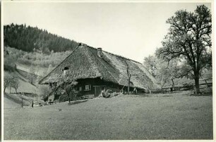 Bauernhof im Föhrental