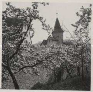 Dinkelsbühl, Stadtmauerpartie