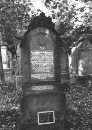 Grabstein 597 (Index: 99895346) Material: Sandstein Zustand: gut Maße HxBxT: 179x60x21 cm Beschreibung: Stele mit Rundbogenabschluss, kleiner Verdachung und Mittelakroter; Sockel Symbolik: Blüte: Grabstein 597 (1)