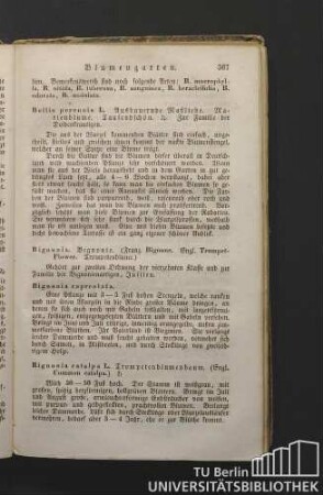 Bignonia. Bignonie. (Franz. Bignone. Engl. Trumpet-Flower. Trompetenblume.)