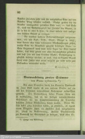 Verwachsung zweier Stämme von Pinus sylvestris