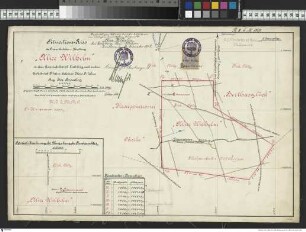 Situationsriss der Braunkohlenmutung"Alice Wilhelm"bei Eichberg Krs. Filehne