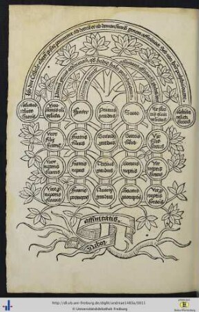 Arbor affinitatis.