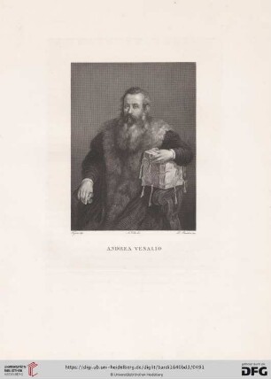 Andrea Vesalio di Tiziano Vecellio