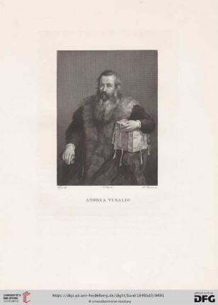 Andrea Vesalio di Tiziano Vecellio