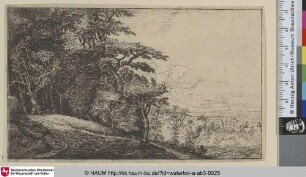 [Ein Waldrand; Entrance to a wood]