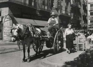 Valencia. Spanien. Mann auf einem Pferdegespann in einer Geschäftsstraße. Eine Passantin läuft vorbei