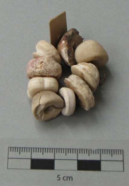 Shell beads