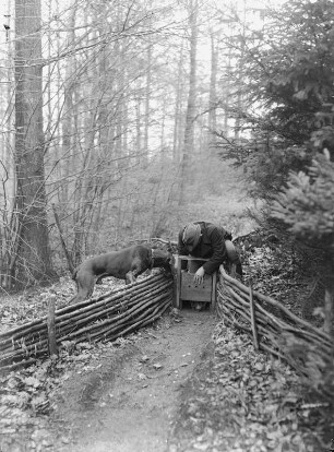 Jäger mit Hund an einer Tierfalle im Wald