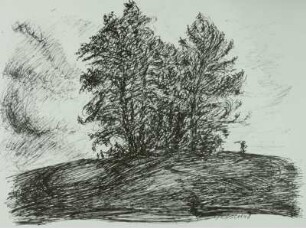 Landschaft - Baumgruppe