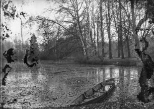 Seerosenteich mit Boot