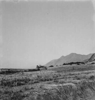 Panorama : Panorama der Grabenebene in Richtung der Virunga-Vulkankette