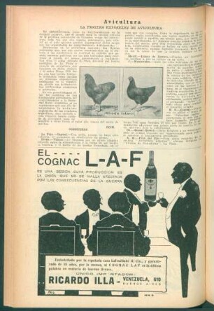 Avicultura : La próxima exposición de avicultura