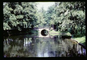 Tiergarten 18.7.64.