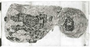 Rundkarten kursächsischer Waldgebiete (Humelius-Risse, Kreiskarten für Jagd- u. Forstzwecke, Dresden, um 1560), Lochauer (Annaburger) und Seydaer (Glücksburger) Heide (Kreis Jessen), von Johannes Humelius, aquarellierte Zeichnung, 99 x 51 cm, ca. 1 : 50 000