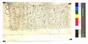Conrad Schalter von Feckenhausen (Veggkenhusen), wegen Drohungen von der Stadt Rottweil inhaftiert und wieder freigelassen, schwört Urfehde.